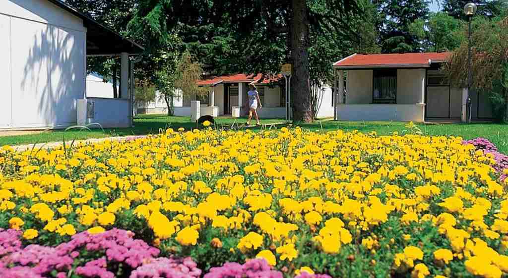 Hotel Park Plava Laguna Porec Bagian luar foto